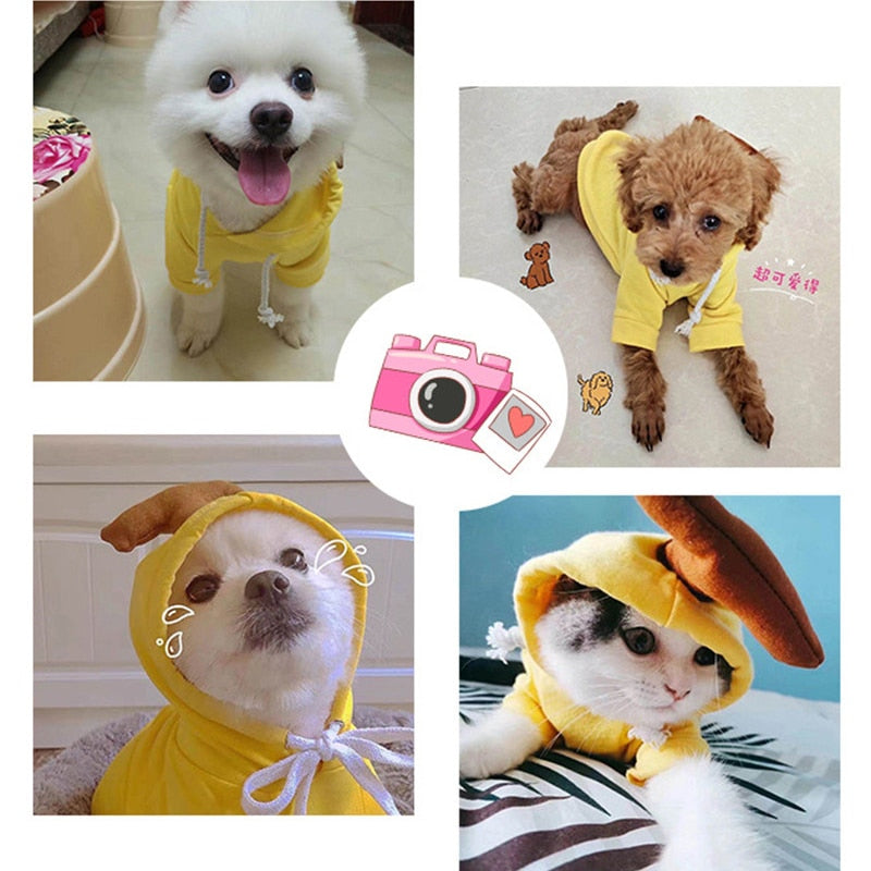 Cute Dog Hoodies XS - XXL