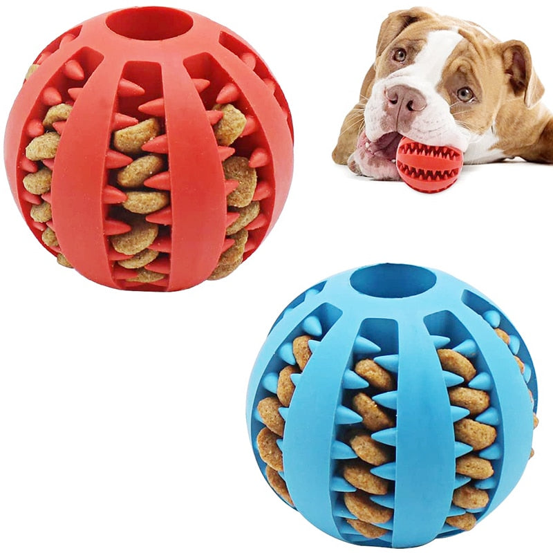 Interactive Puppy Chew Toy