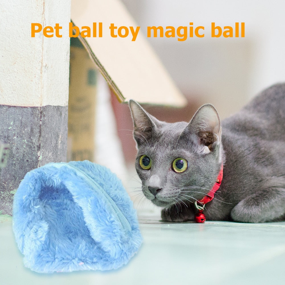 Magic Rolling Ball Toy