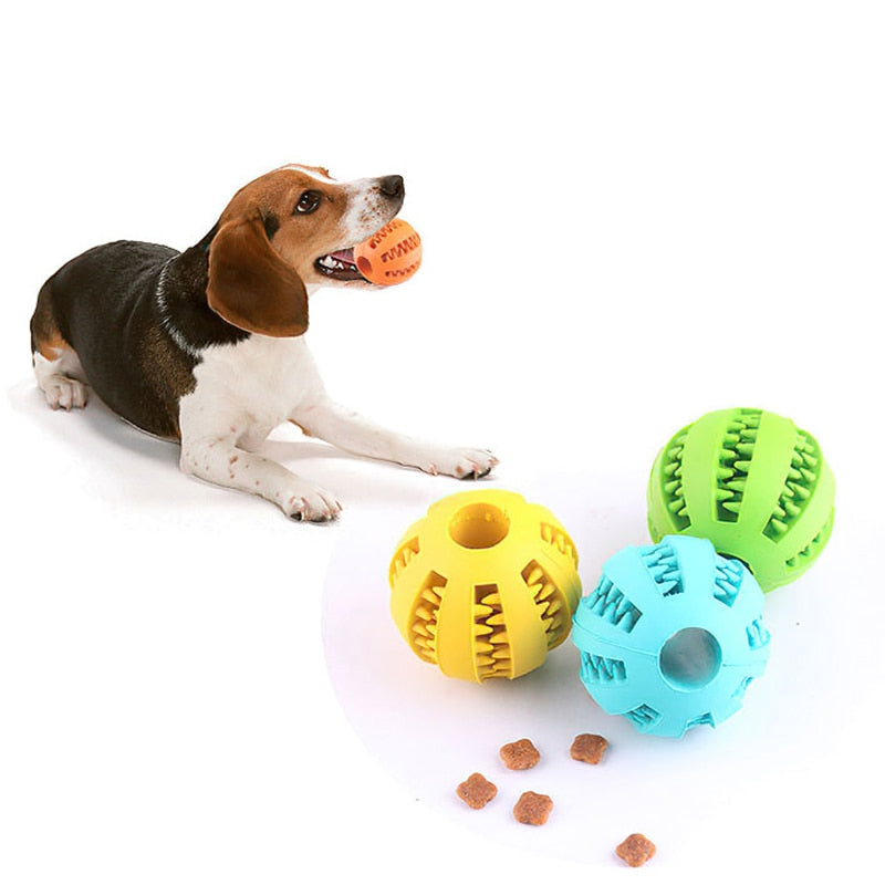 Interactive Puppy Chew Toy