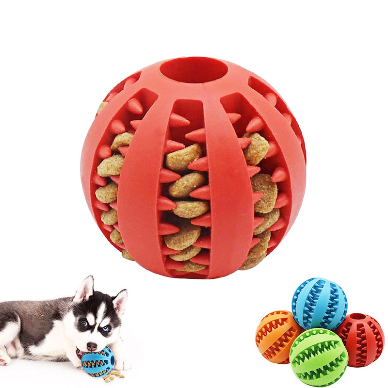 Interactive Puppy Chew Toy