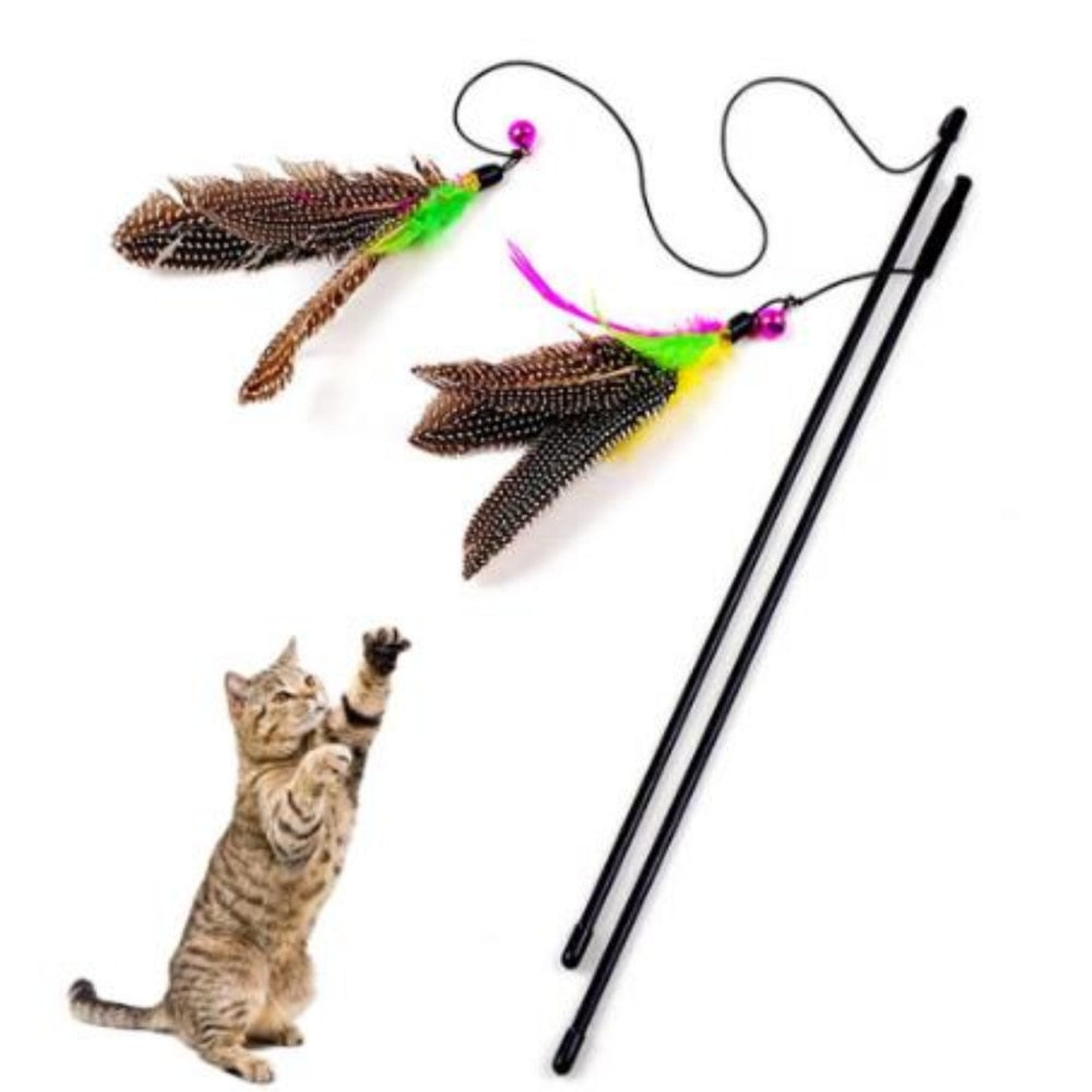 Cat Teaser Interactive Toy