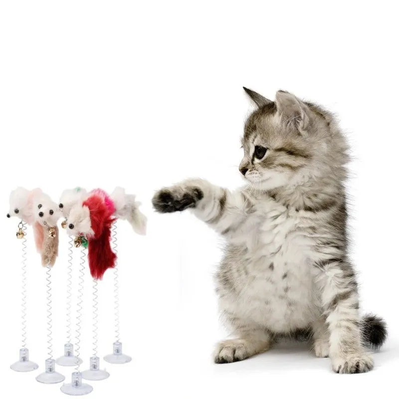 Spring Cat Toy