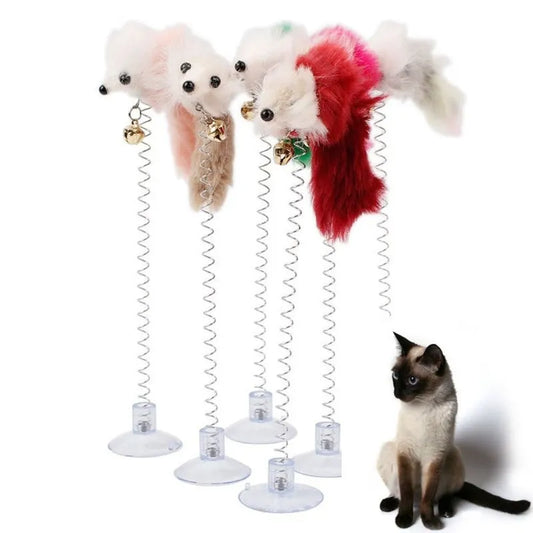 Spring Cat Toy