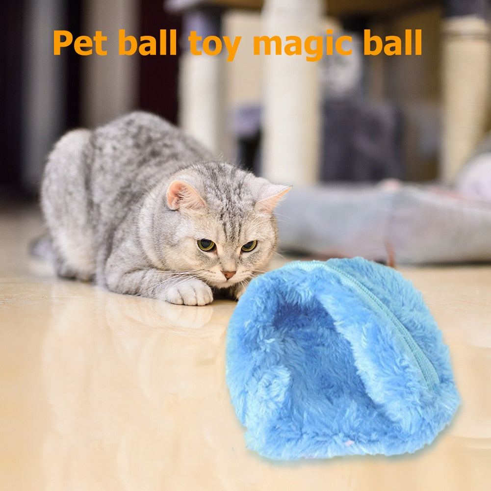 Magic Rolling Ball Toy