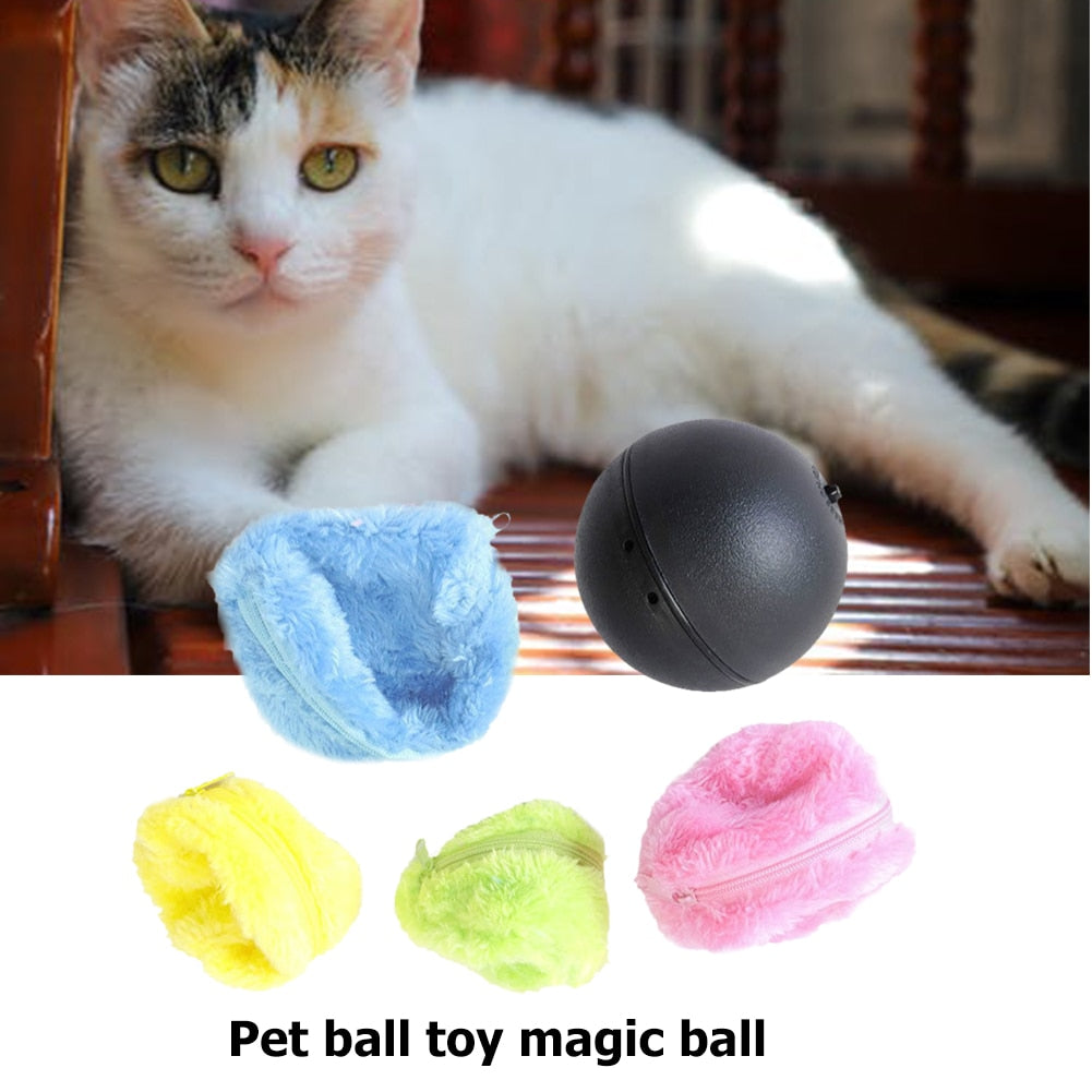 Magic Rolling Ball Toy