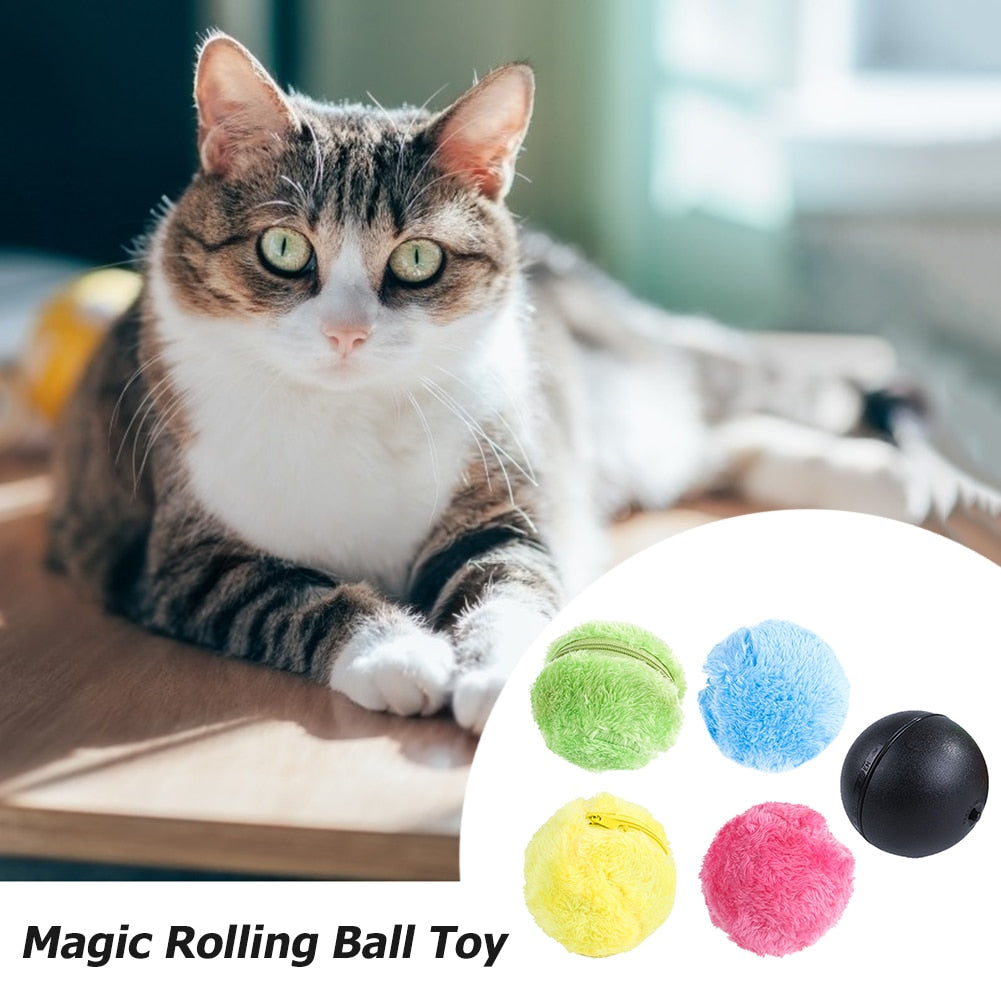 Magic Rolling Ball Toy